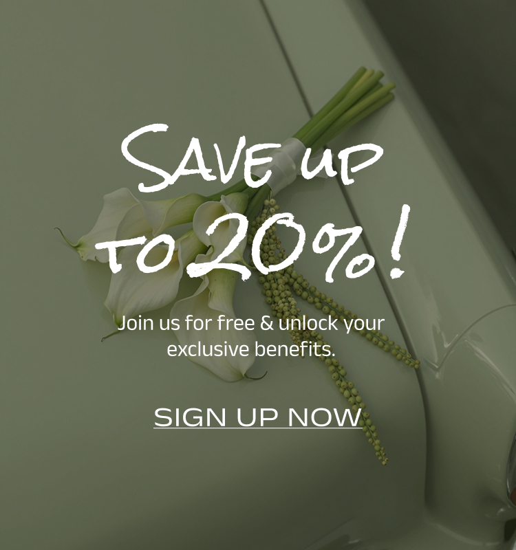 Bruno Marc 20% OFF