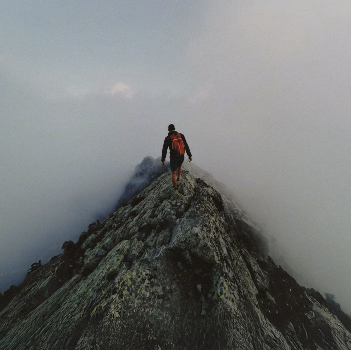 aaa
